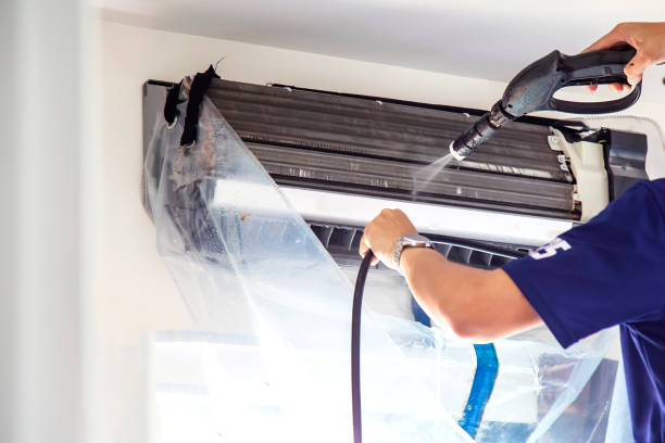 Best Affordable HVAC Duct Cleaning  in Boles Acres, NM