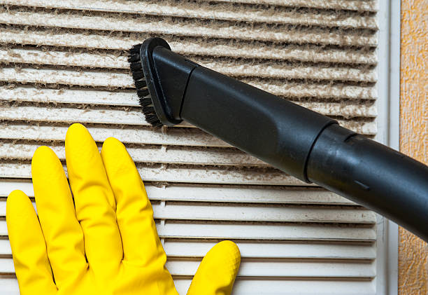 Best Air Duct Cleaning Near Me in Boles Acres, NM